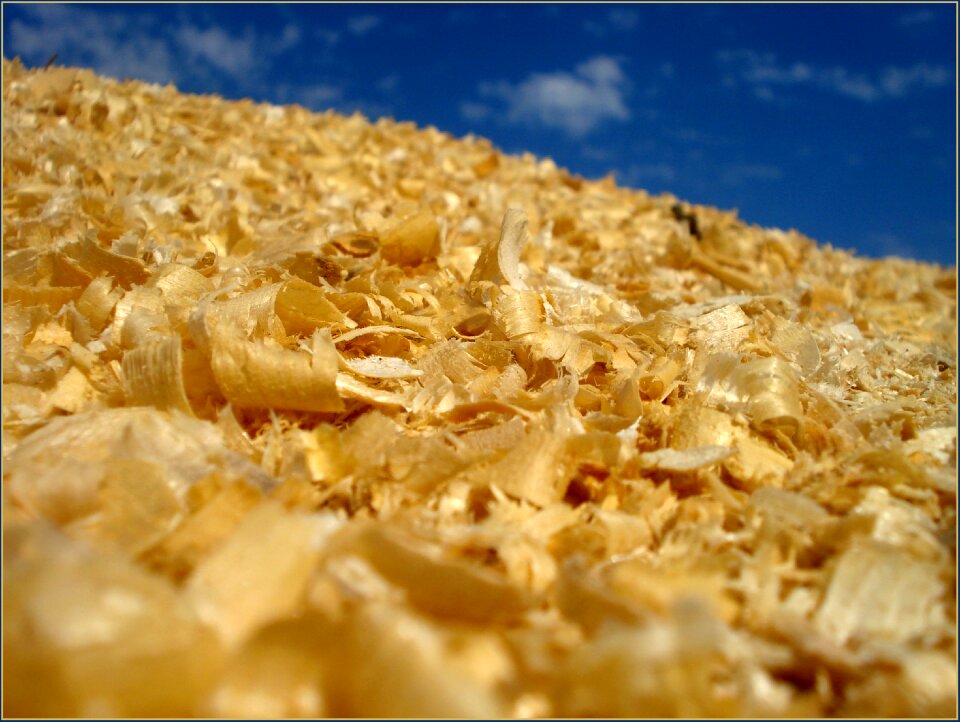 Sawdust yellow sky