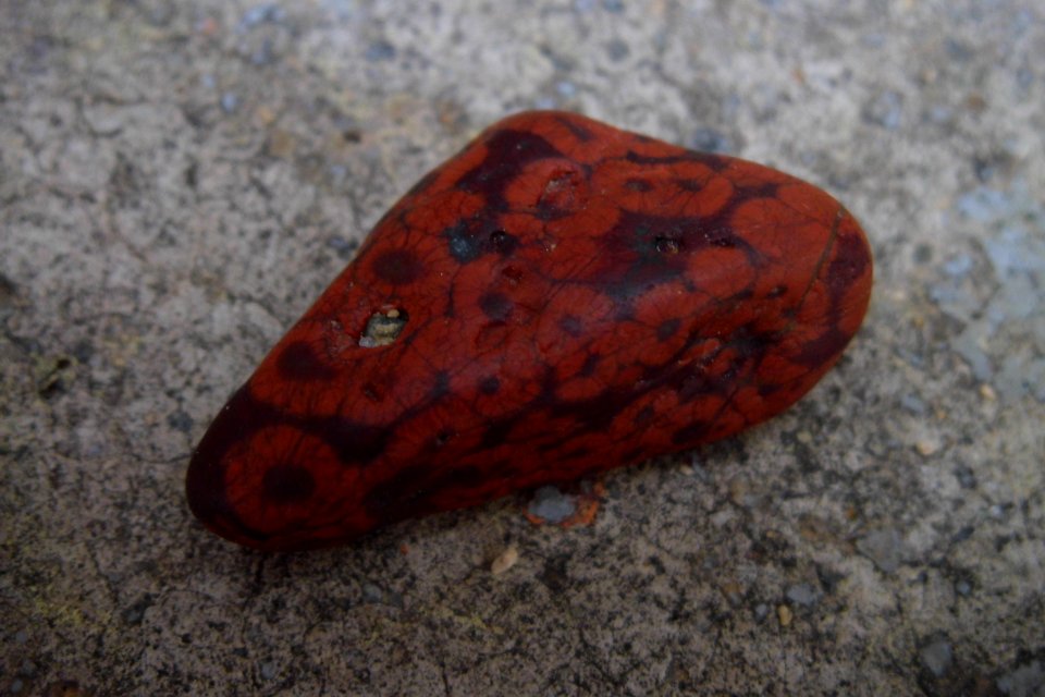 jasper leopard skin