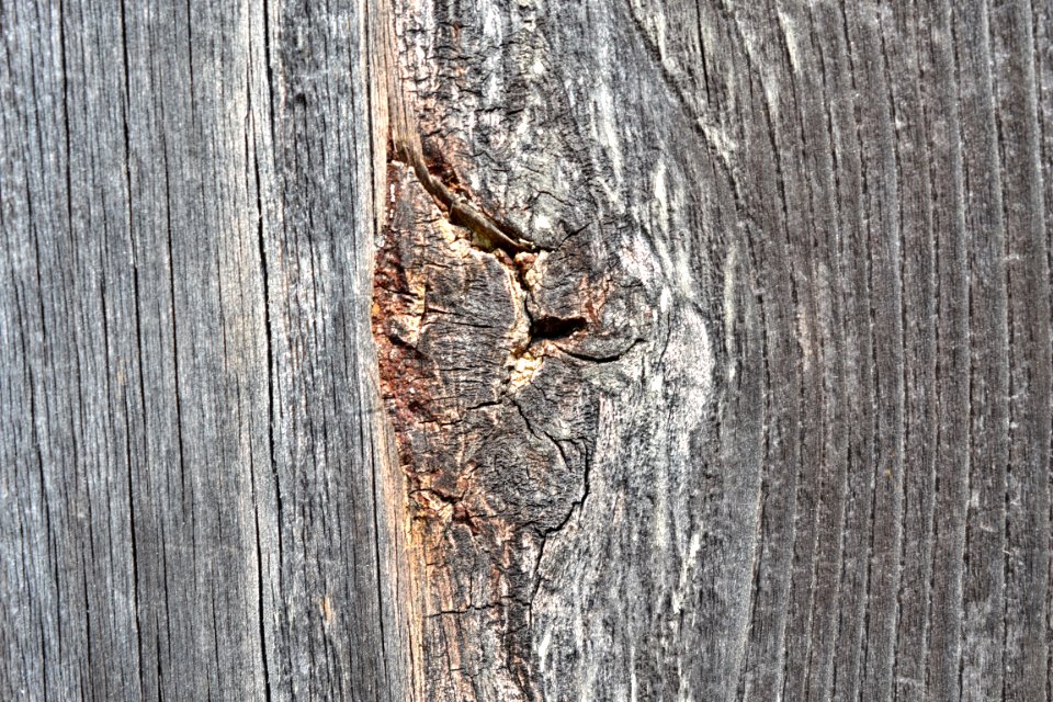 wood