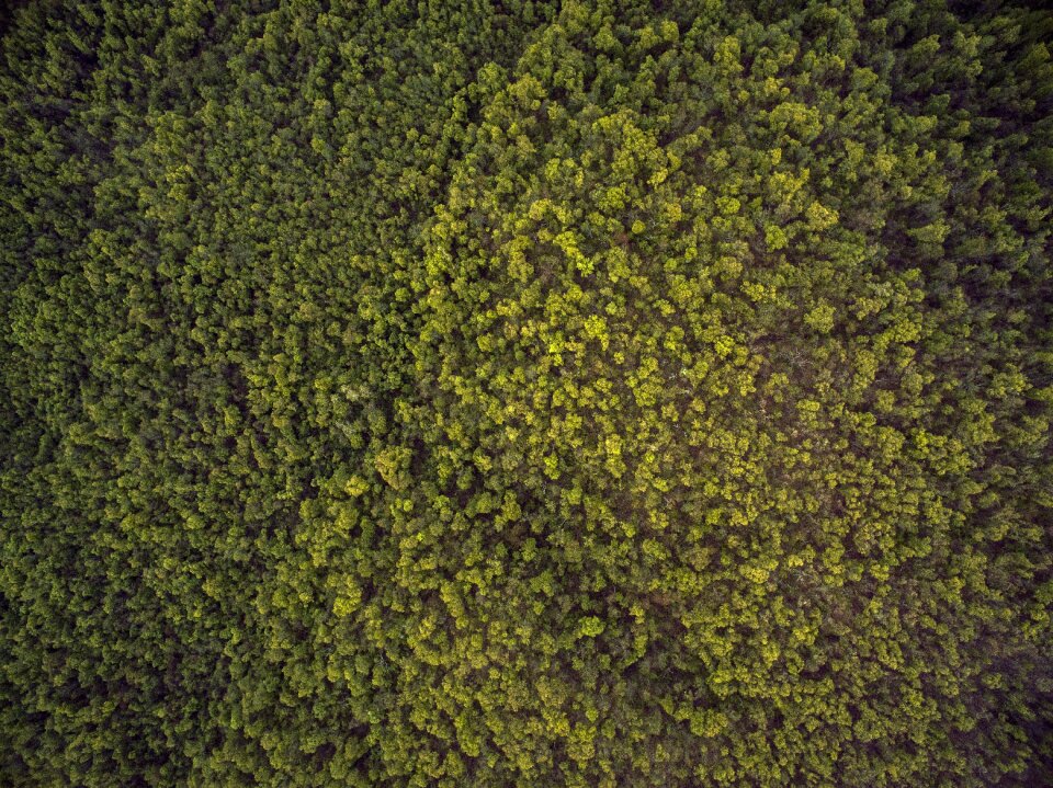 Nature landscape earth