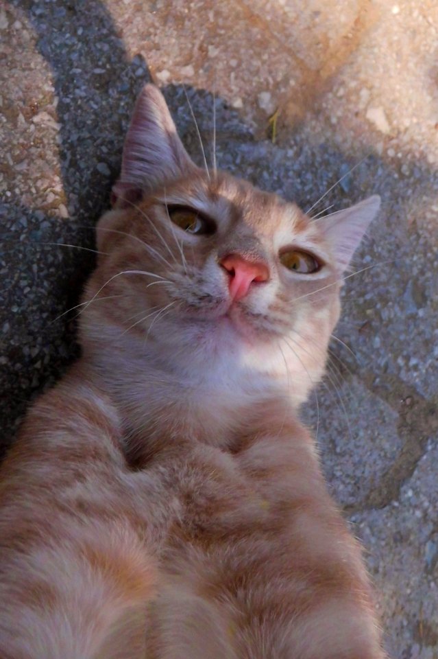 selfie