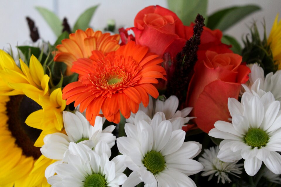 Floral flowers bouquet bunch