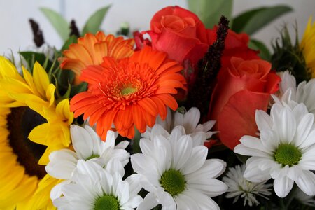 Floral flowers bouquet bunch