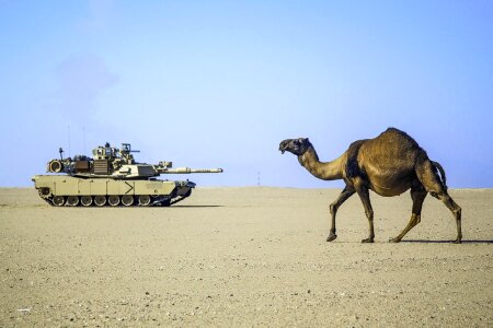 Army military sand
