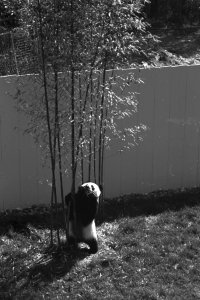 20120105-OC-AMW-0088