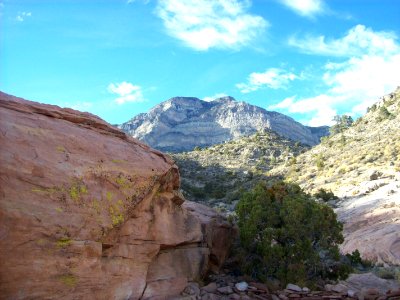 Red Rock and Spring Mountains in Nevada photo