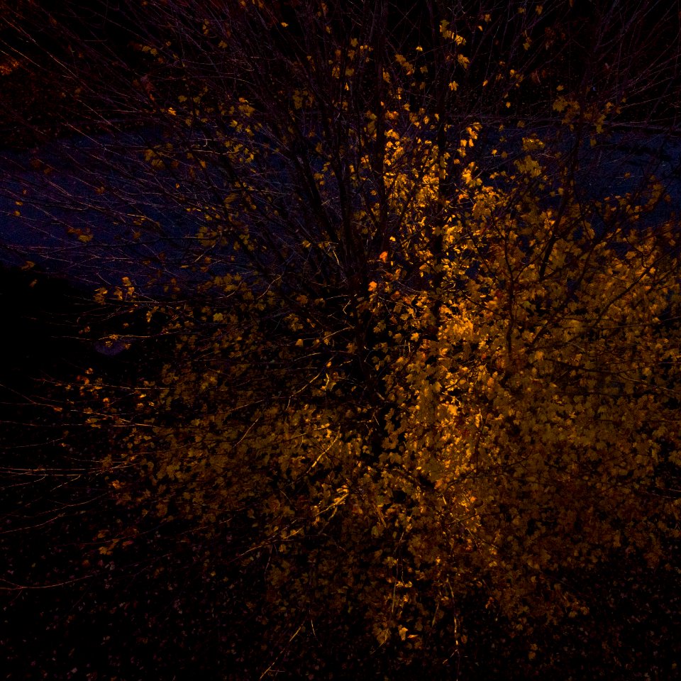 20181103-OC-LSC-0028
