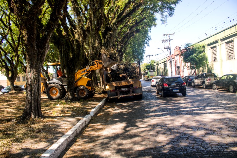 18.12.2019 - Supressão de árvores na avenida Saldanha Marinho - Foto Michel Corvello
