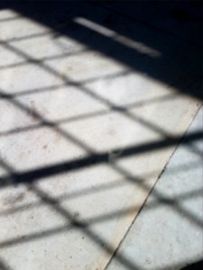 20170329 152403