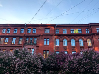 arina-ertman-spb