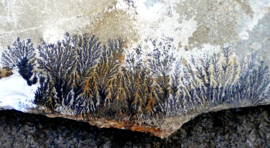 rock formation, dendrites