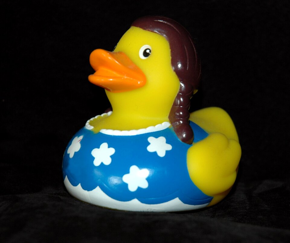 Squeak duck duck toys