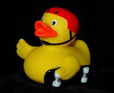 Duck skateboarder toys
