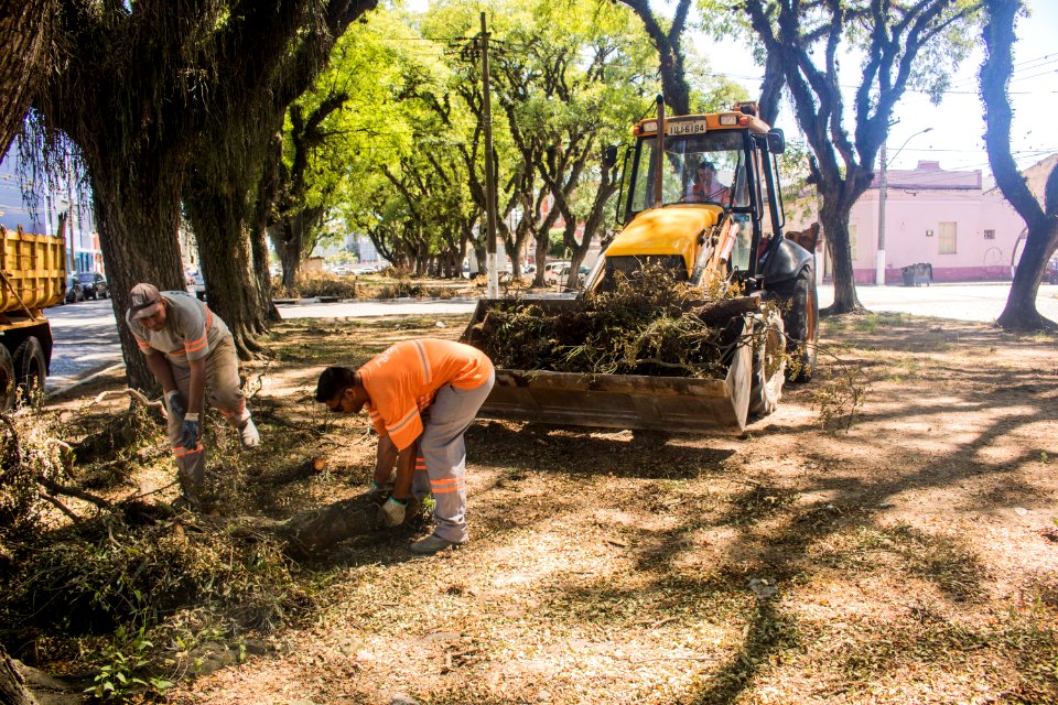 18.12.2019 - Supressão de árvores na avenida Saldanha Marinho - Foto Michel Corvello