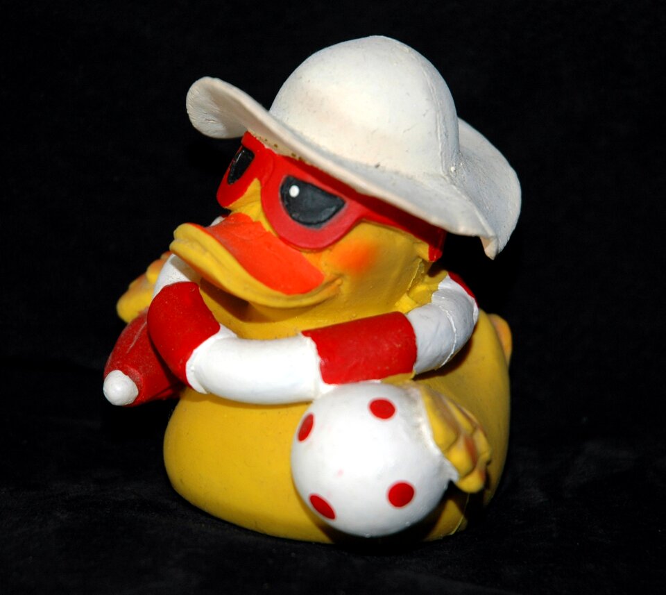 Squeak duck duck toys