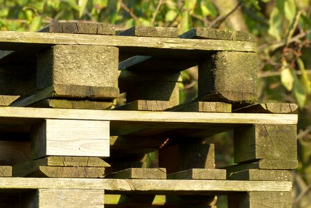 Wood pile wooden