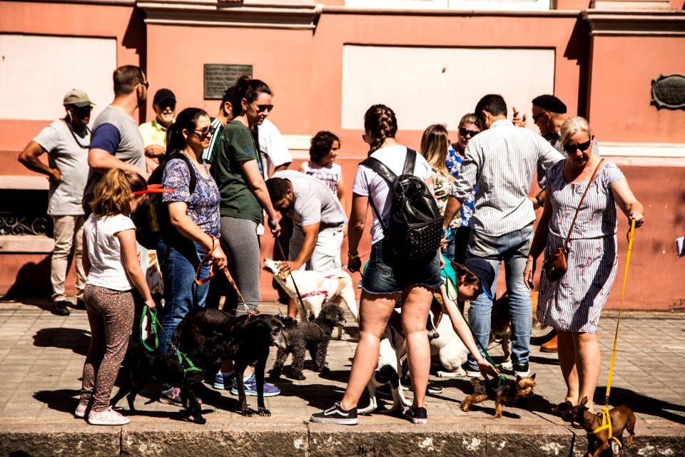 07.12.2019 - Cãominhada da 2ª Semana de Proteção Animal - Foto: Gustavo Vara