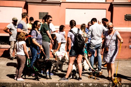07.12.2019 - Cãominhada da 2ª Semana de Proteção Animal - Foto: Gustavo Vara