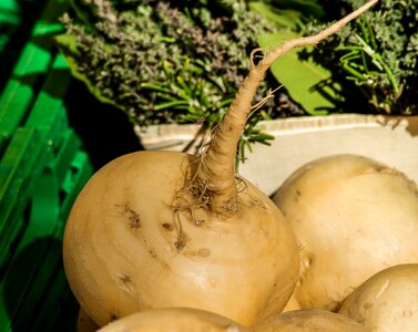 Vegetables turnip soup