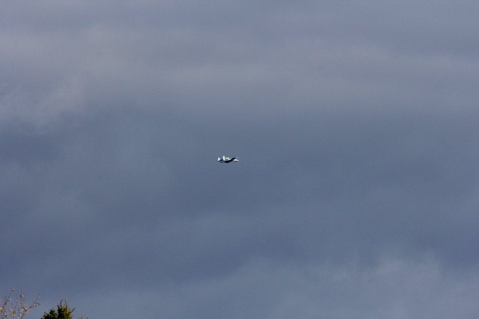 A10 Warthog, Michigan