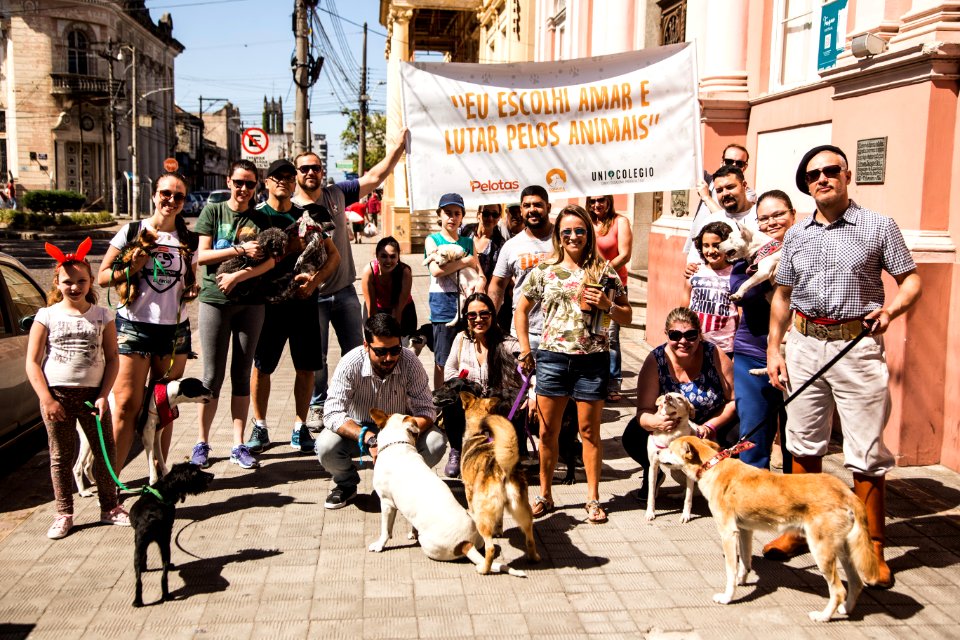 07.12.2019 - Cãominhada da 2ª Semana de Proteção Animal - Foto: Gustavo Vara