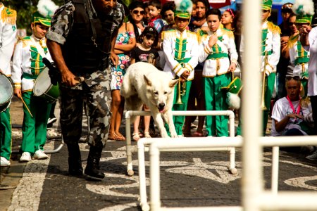 01.12.2019 - Abertura da 2ª Semana de Proteção Animal - Foto: Gustavo Vara
