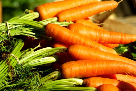 Carrots vegetable garden market