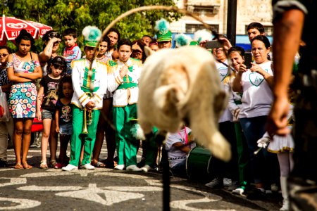 01.12.2019 - Abertura da 2ª Semana de Proteção Animal - Foto: Gustavo Vara