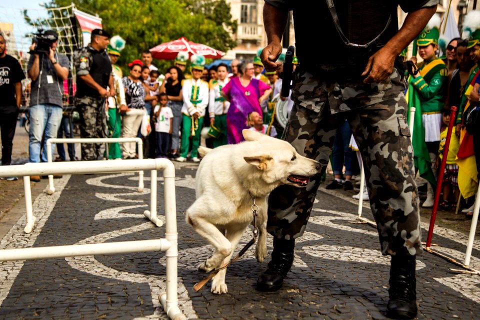 01.12.2019 - Abertura da 2ª Semana de Proteção Animal - Foto: Gustavo Vara