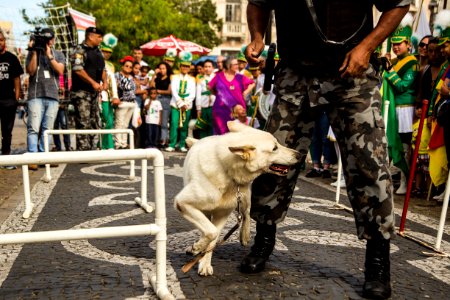 01.12.2019 - Abertura da 2ª Semana de Proteção Animal - Foto: Gustavo Vara