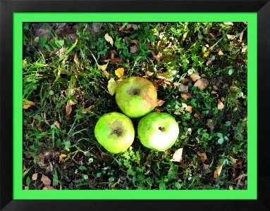FotoSketcher - Apple1