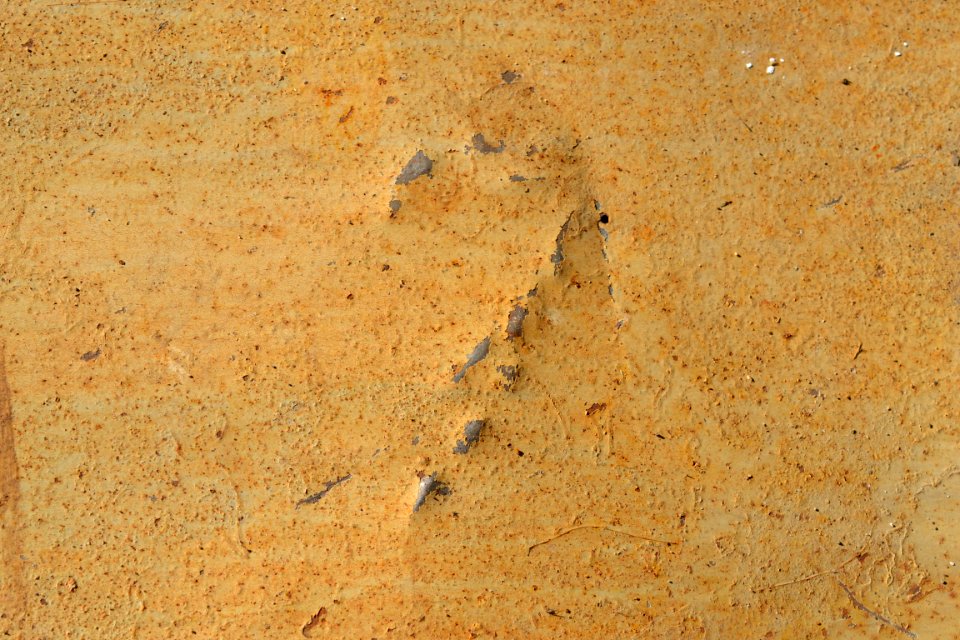 sheet with rusted surface