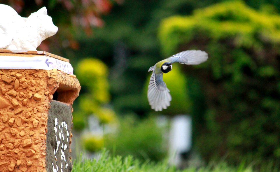 Flight feed animals