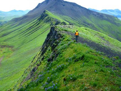 Field Work photo