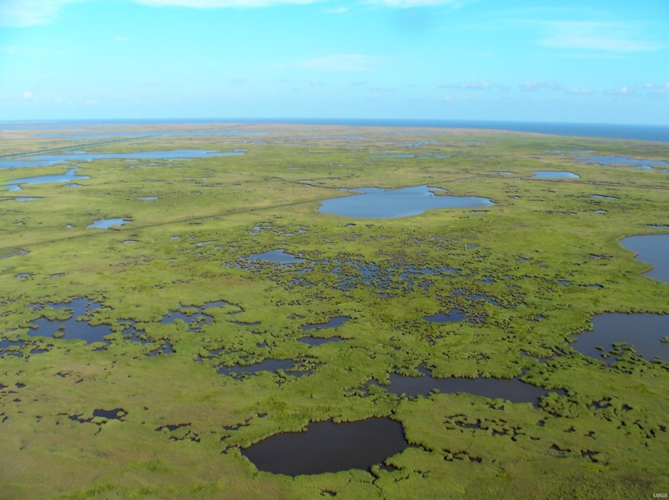 Mississippi River Delta