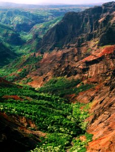 Waimea Canyon photo