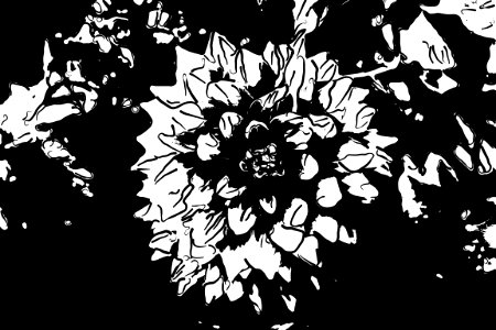 Line art