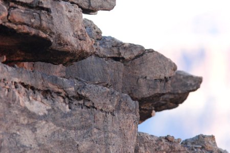 Canyon Wren, lower s. Kaibab Trail, Grand Canyon NP, AZ, November 6, 2012