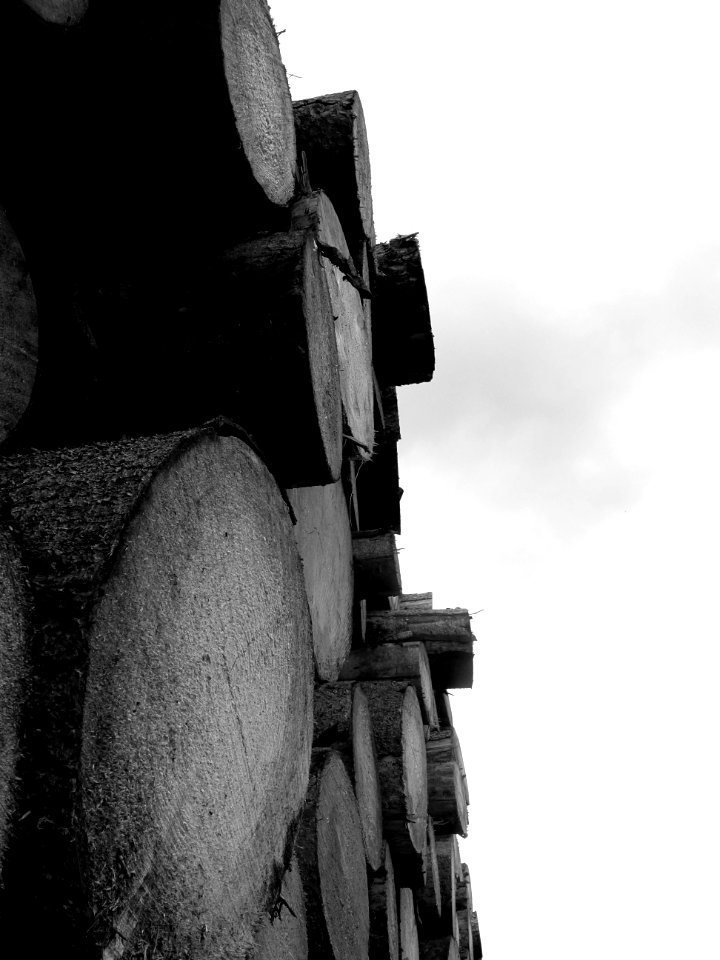 Stack of trunks