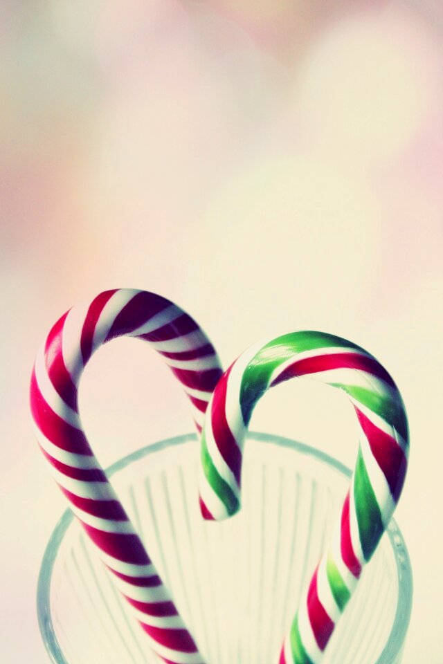 Sugar christmas treat