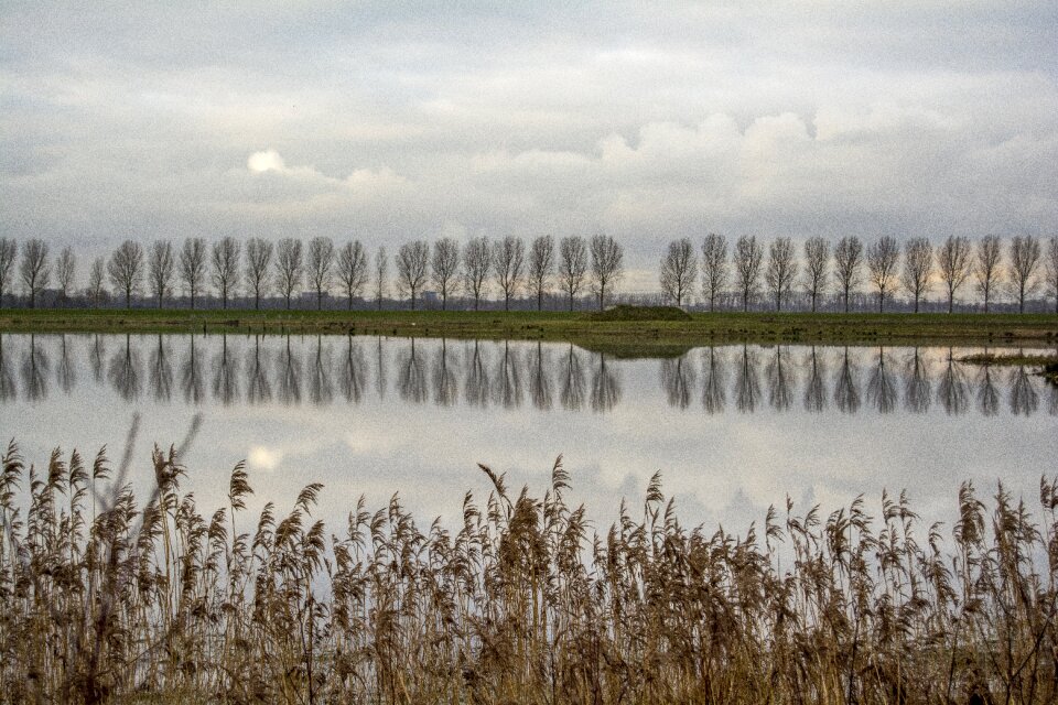Nature polderroad clouds