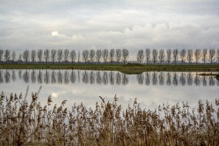 Nature polderroad clouds