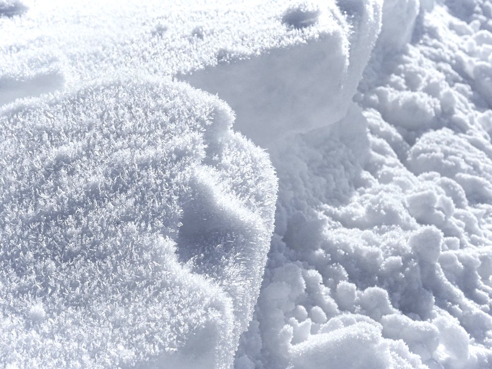 Snow and Hoar Frost photo