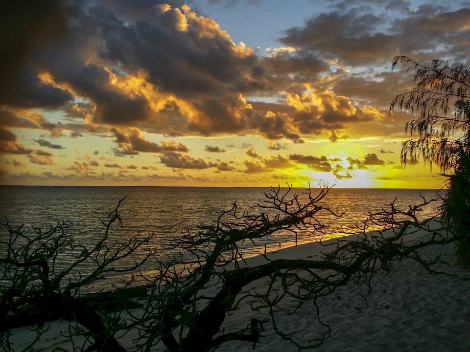 Great barrier reef scenery tourism