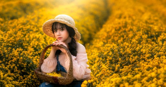 hoa cúc chi toi yeu tra 19