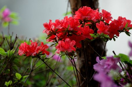 2006.05.01 증산동집앞