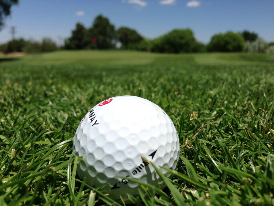 Grass golf course green golf