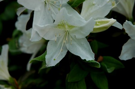 2006.05.01 증산동집앞