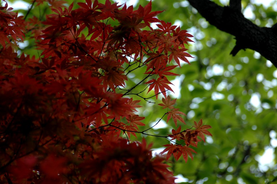 2006.05.01 증산동집앞