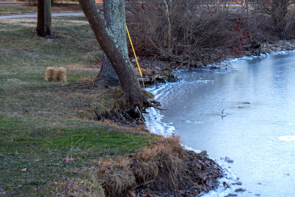 winter scene at park